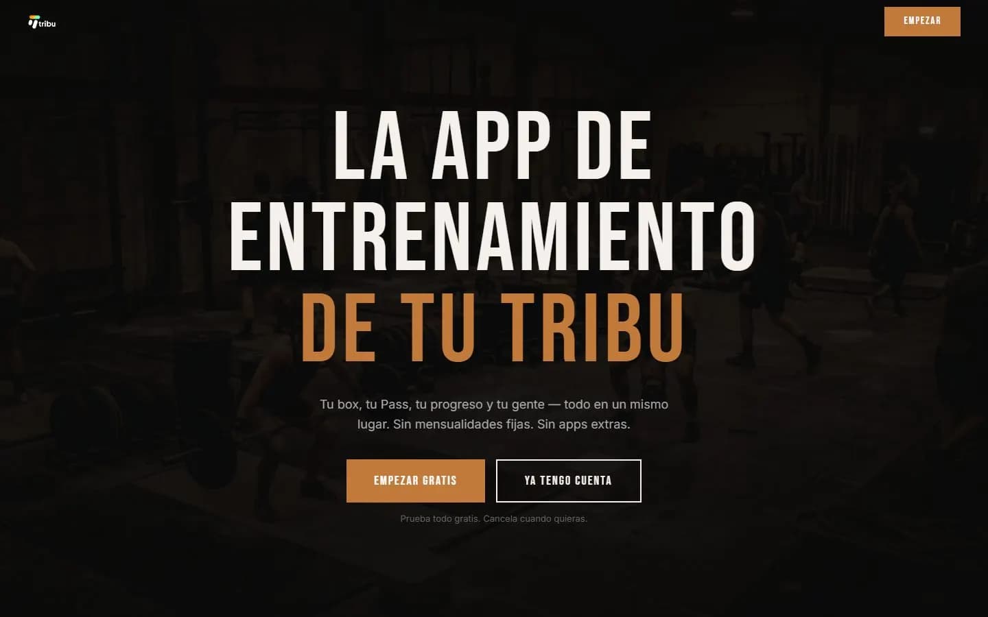 Tribu